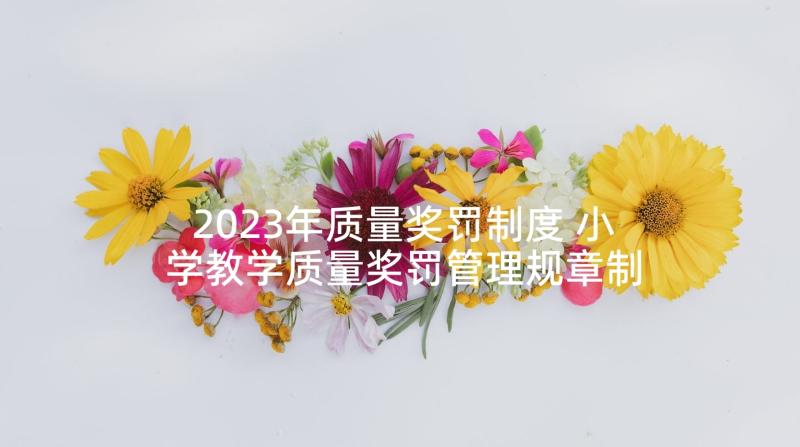 2023年质量奖罚制度 小学教学质量奖罚管理规章制度(大全5篇)