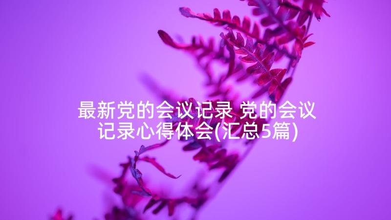 最新党的会议记录 党的会议记录心得体会(汇总5篇)