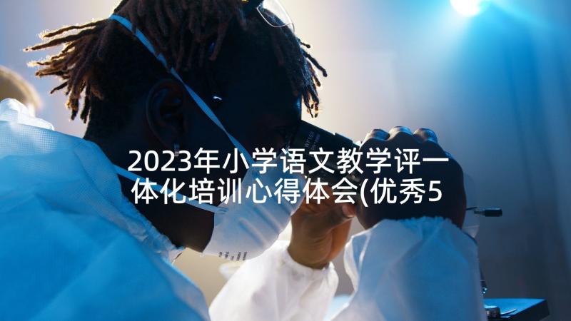 2023年小学语文教学评一体化培训心得体会(优秀5篇)