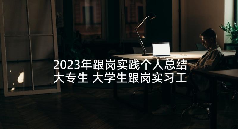 2023年跟岗实践个人总结大专生 大学生跟岗实习工作总结(实用5篇)