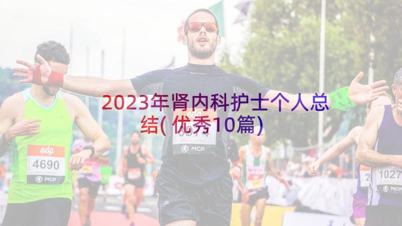 2023年肾内科护士个人总结(优秀10篇)