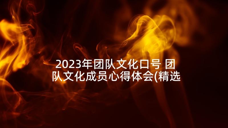 2023年团队文化口号 团队文化成员心得体会(精选10篇)