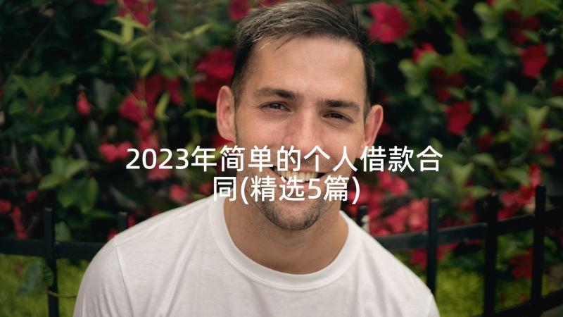 2023年简单的个人借款合同(精选5篇)