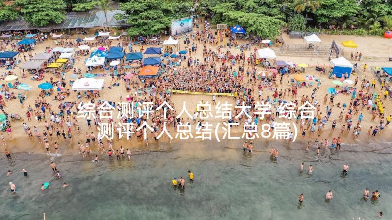 综合测评个人总结大学 综合测评个人总结(汇总8篇)