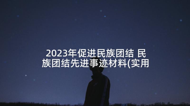 2023年促进民族团结 民族团结先进事迹材料(实用6篇)