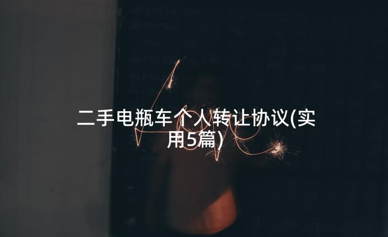 二手电瓶车个人转让协议(实用5篇)