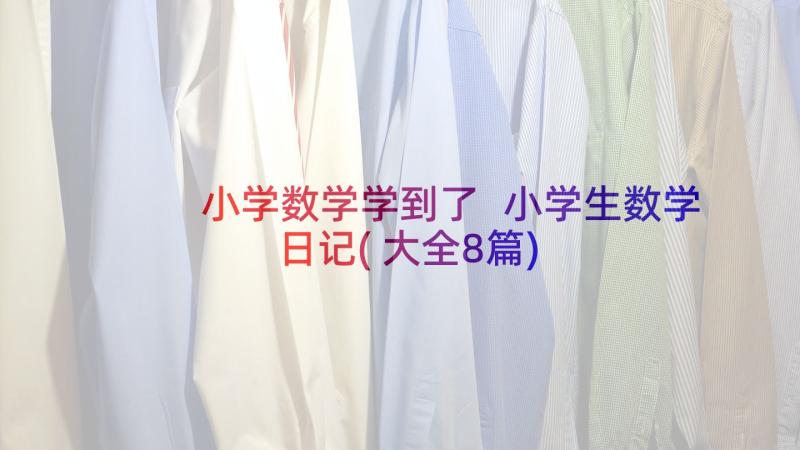 小学数学学到了 小学生数学日记(大全8篇)