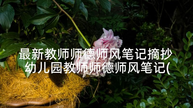 最新教师师德师风笔记摘抄 幼儿园教师师德师风笔记(实用5篇)