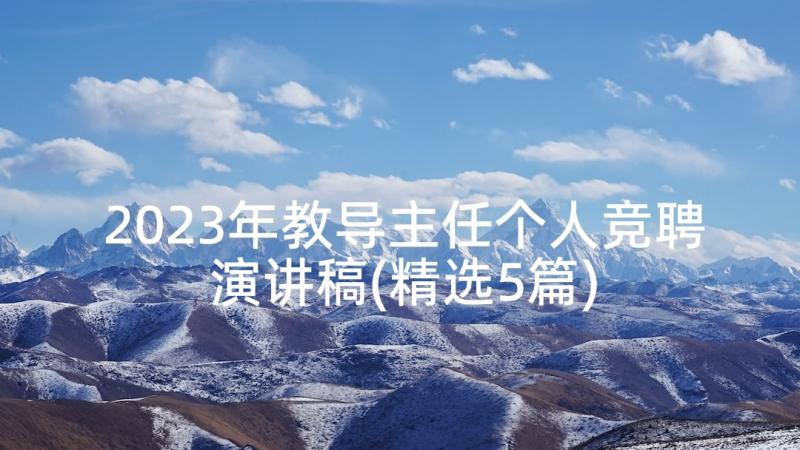 2023年教导主任个人竞聘演讲稿(精选5篇)