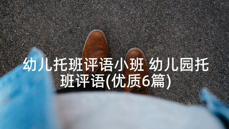 幼儿托班评语小班 幼儿园托班评语(优质6篇)