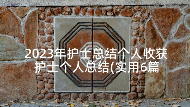 2023年护士总结个人收获 护士个人总结(实用6篇)