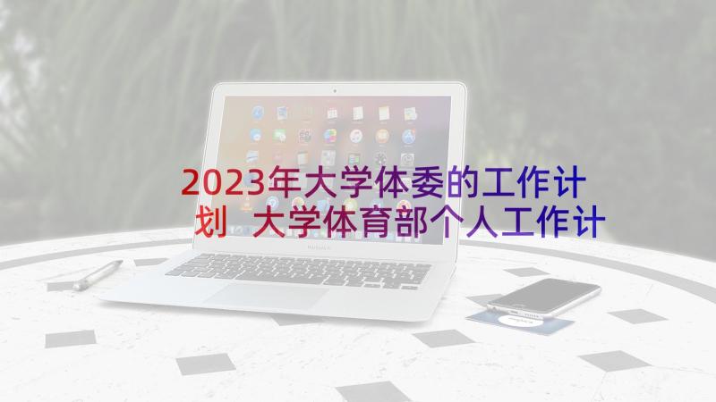 2023年大学体委的工作计划 大学体育部个人工作计划(汇总6篇)