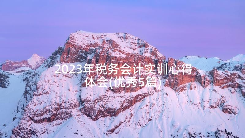 2023年税务会计实训心得体会(优秀5篇)