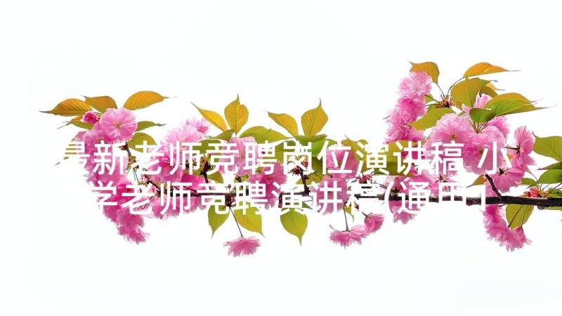 最新老师竞聘岗位演讲稿 小学老师竞聘演讲稿(通用10篇)