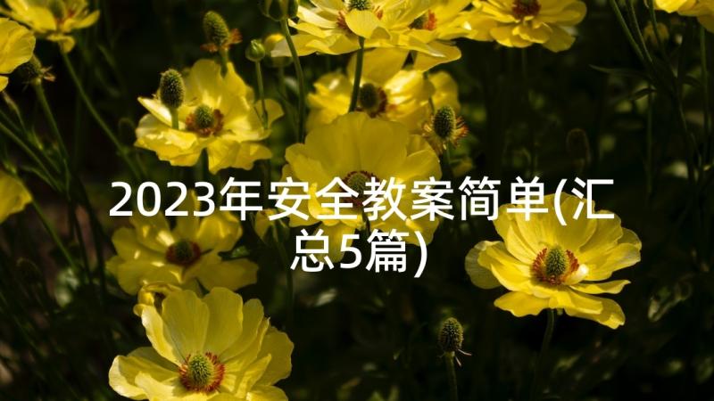 2023年安全教案简单(汇总5篇)