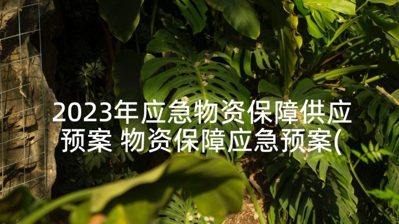 2023年应急物资保障供应预案 物资保障应急预案(汇总9篇)