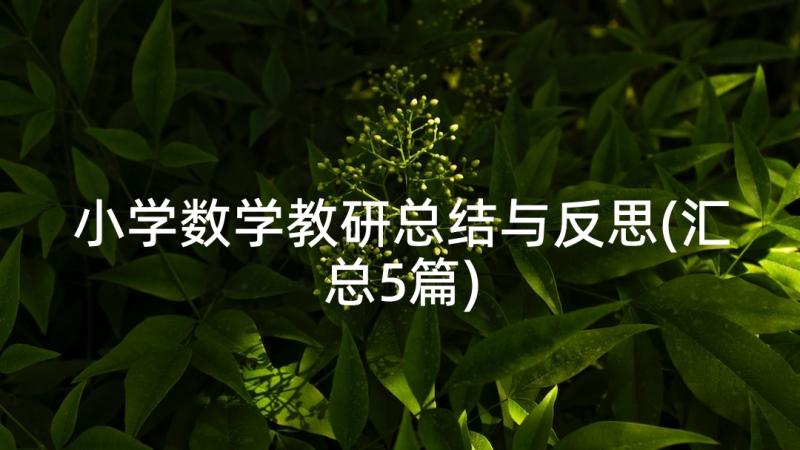 小学数学教研总结与反思(汇总5篇)