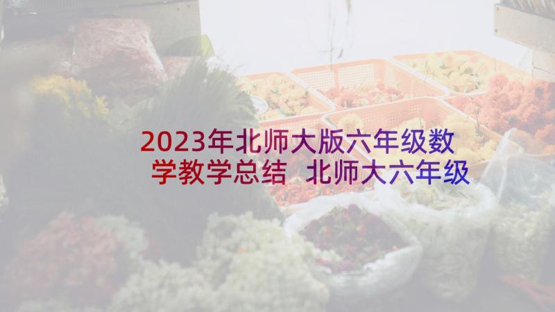 2023年北师大版六年级数学教学总结 北师大六年级数学教学反思(优质10篇)