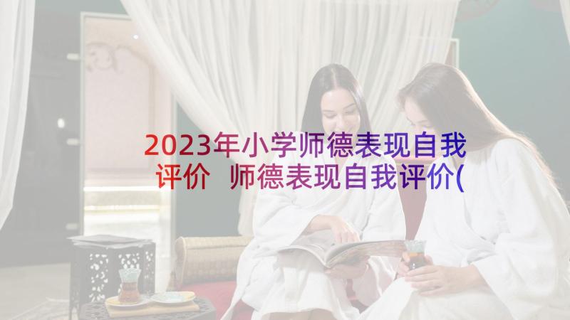 2023年小学师德表现自我评价 师德表现自我评价(大全8篇)