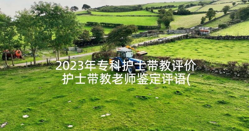 2023年专科护士带教评价 护士带教老师鉴定评语(实用5篇)