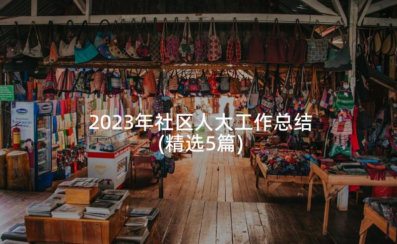 2023年社区人大工作总结(精选5篇)