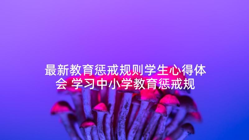 最新教育惩戒规则学生心得体会 学习中小学教育惩戒规则教师心得(实用5篇)