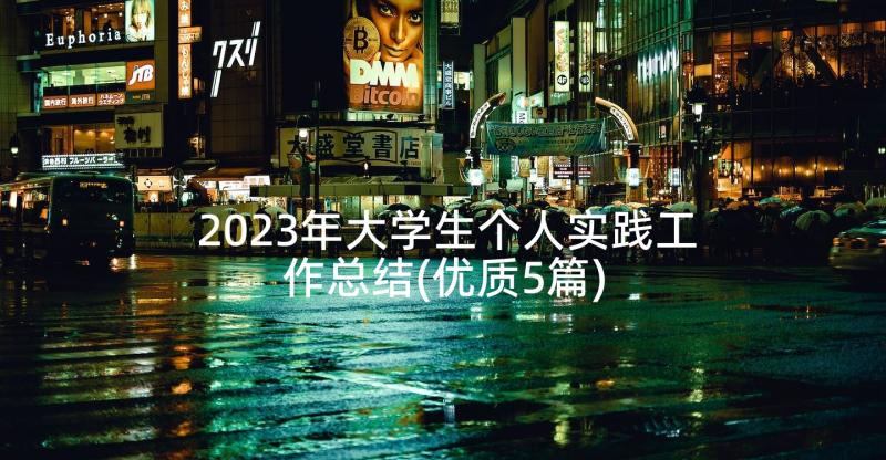 2023年大学生个人实践工作总结(优质5篇)