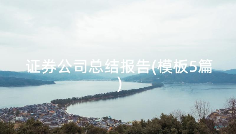 证券公司总结报告(模板5篇)