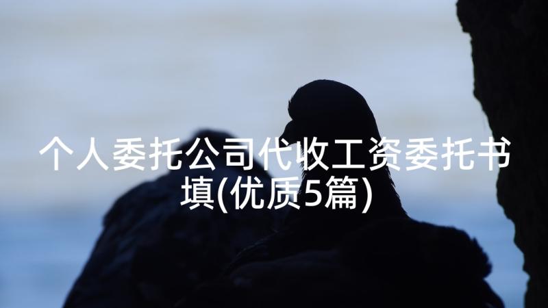 个人委托公司代收工资委托书填(优质5篇)