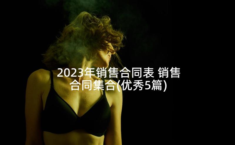 2023年销售合同表 销售合同集合(优秀5篇)