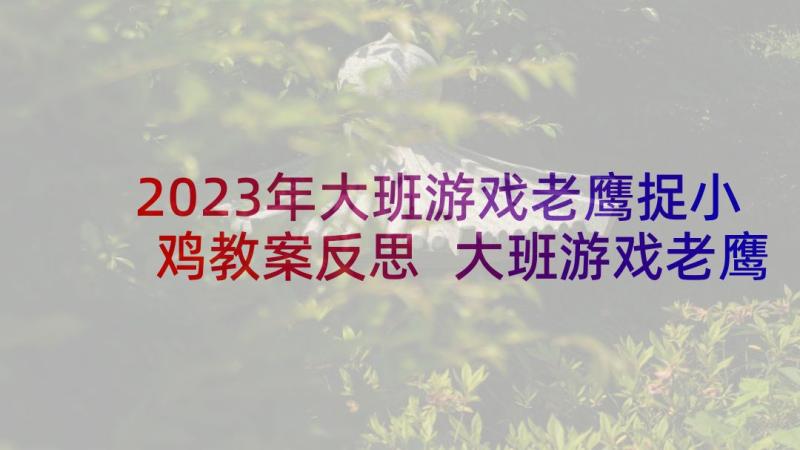 2023年大班游戏老鹰捉小鸡教案反思 大班游戏老鹰捉小鸡教案(精选7篇)