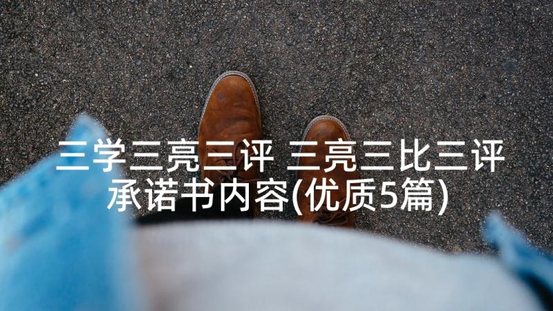 三学三亮三评 三亮三比三评承诺书内容(优质5篇)