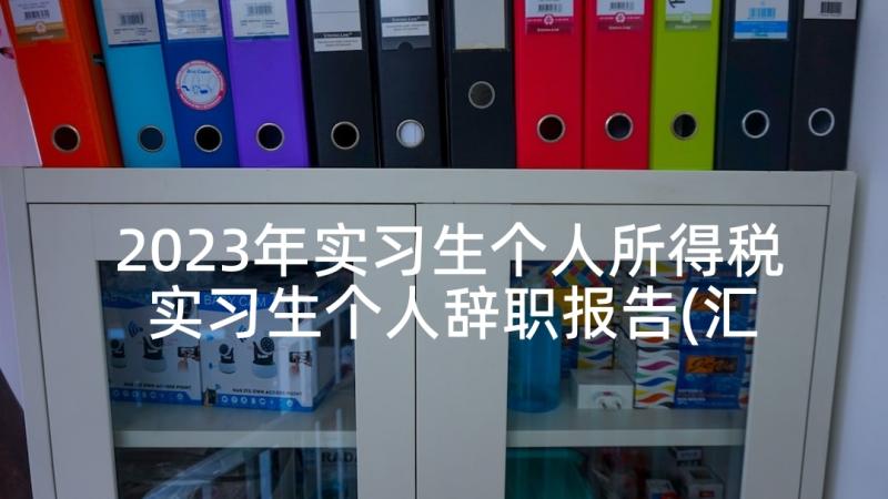 2023年实习生个人所得税 实习生个人辞职报告(汇总7篇)