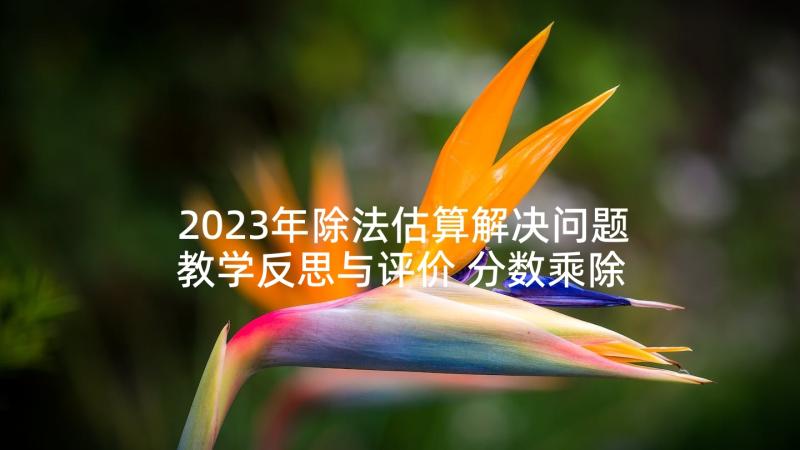 2023年除法估算解决问题教学反思与评价 分数乘除法解决问题教学反思(模板5篇)