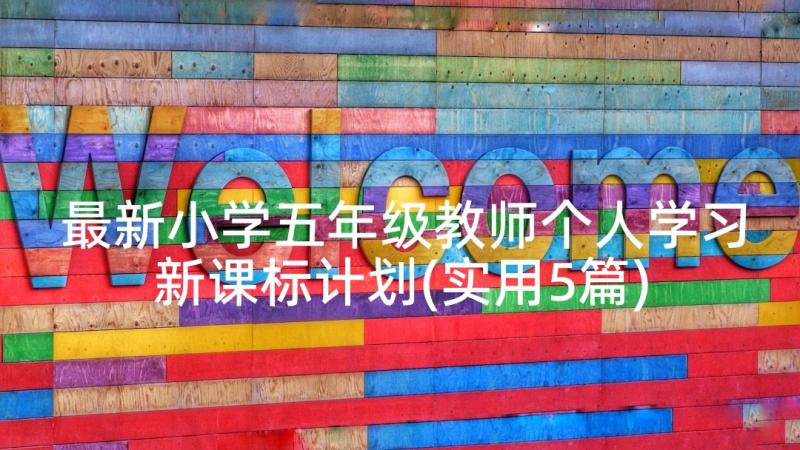 最新小学五年级教师个人学习新课标计划(实用5篇)