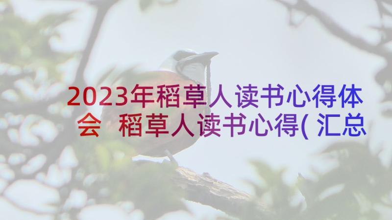 2023年稻草人读书心得体会 稻草人读书心得(汇总10篇)