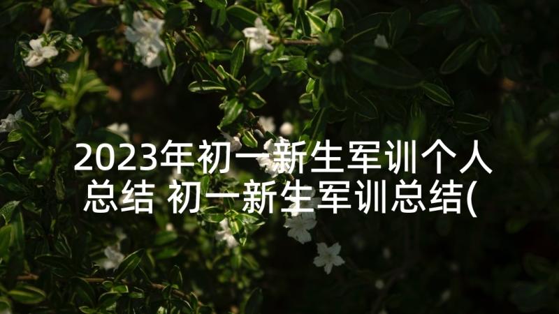 2023年初一新生军训个人总结 初一新生军训总结(汇总9篇)