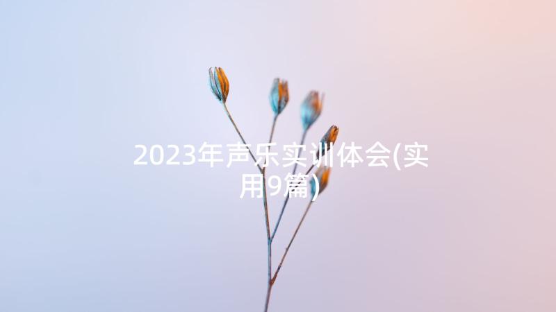 2023年声乐实训体会(实用9篇)
