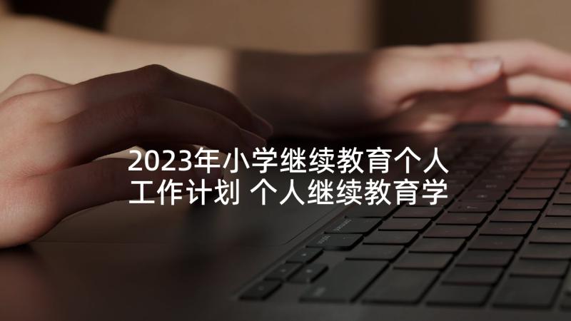 2023年小学继续教育个人工作计划 个人继续教育学习总结(大全9篇)