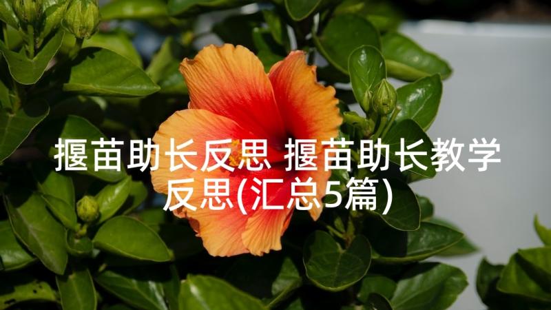 揠苗助长反思 揠苗助长教学反思(汇总5篇)