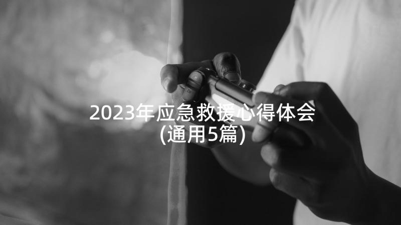 2023年应急救援心得体会(通用5篇)