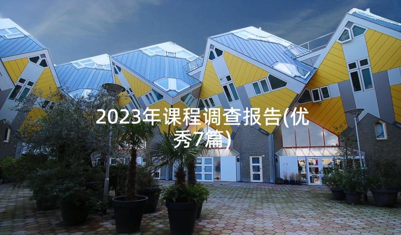 2023年课程调查报告(优秀7篇)