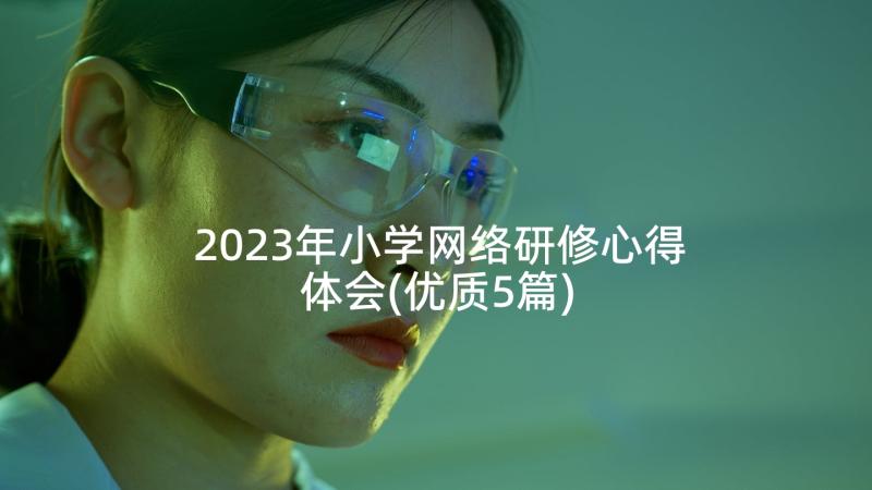 2023年小学网络研修心得体会(优质5篇)