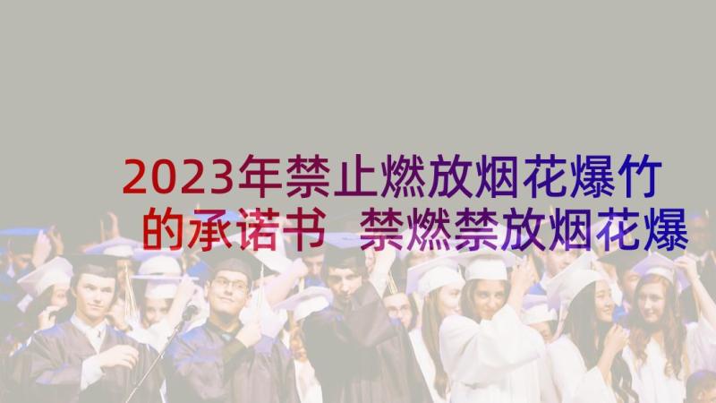 2023年禁止燃放烟花爆竹的承诺书 禁燃禁放烟花爆竹个人承诺书(通用9篇)