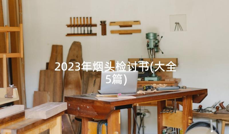 2023年烟头检讨书(大全5篇)