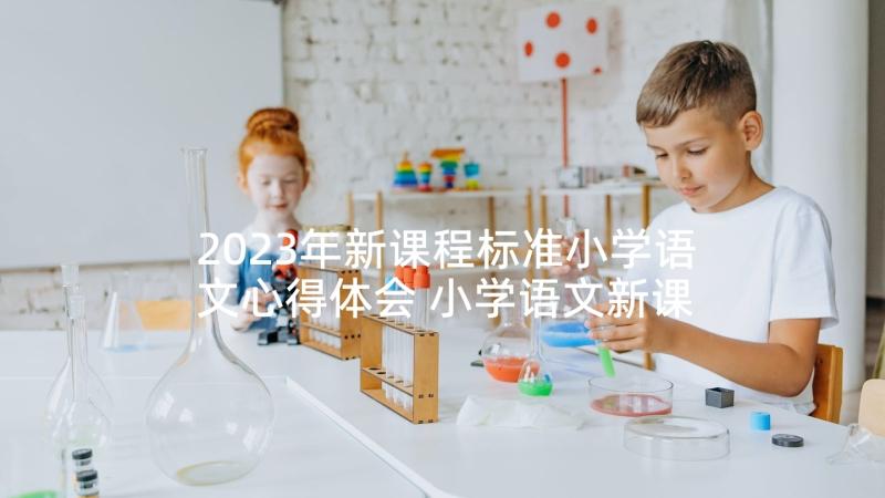 2023年新课程标准小学语文心得体会 小学语文新课程标准学习心得体会(通用9篇)