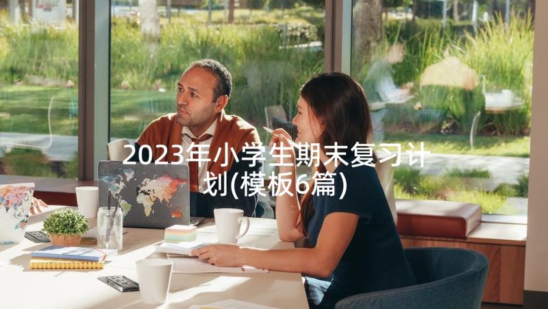 2023年小学生期末复习计划(模板6篇)