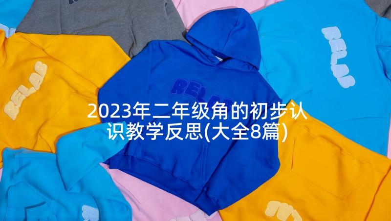 2023年二年级角的初步认识教学反思(大全8篇)