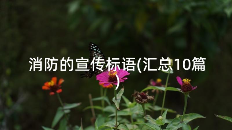 消防的宣传标语(汇总10篇)