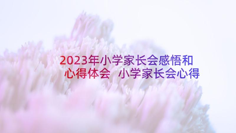 2023年小学家长会感悟和心得体会 小学家长会心得体会(精选10篇)